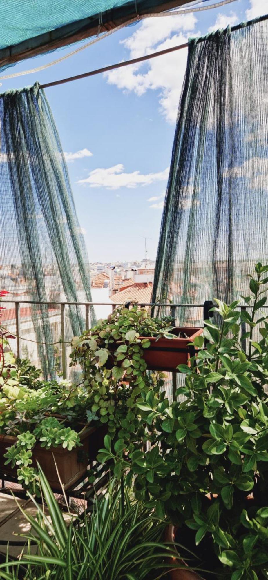 מדריד Casa De Huespedes Dolce Vita מראה חיצוני תמונה